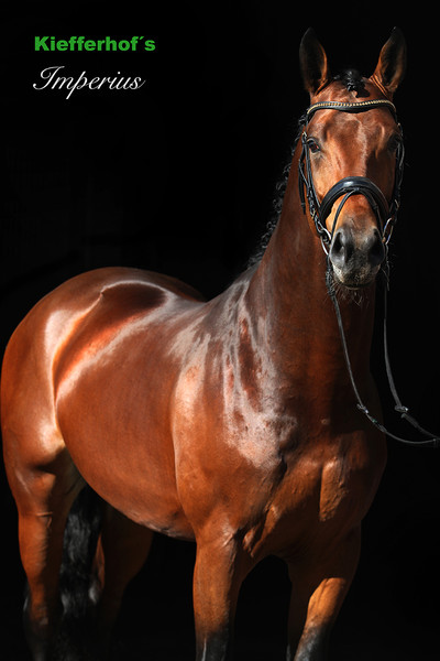 Imperius